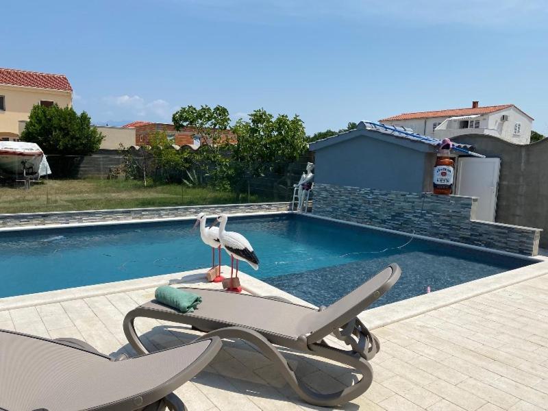 Croliday Apartment With Pool Nin Vrsi Bagian luar foto
